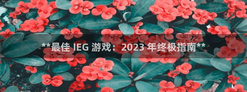 蓝狮服装品牌怎么样：**最佳 IEG 游戏：2023 年终极指南**